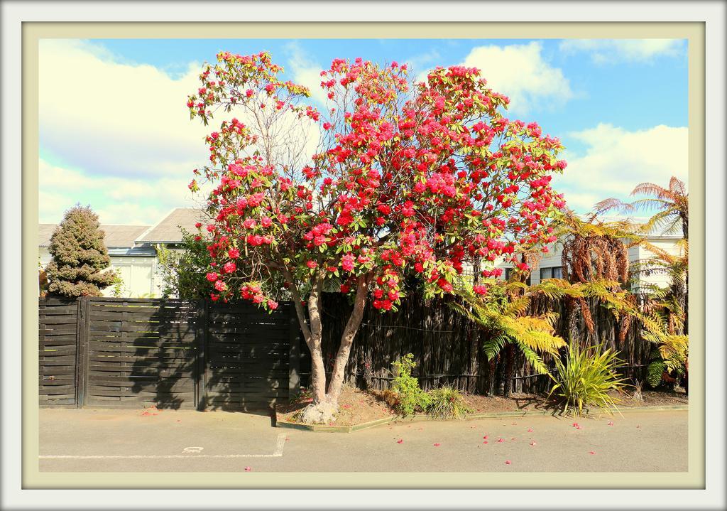 Victoria Lodge Rotorua Buitenkant foto