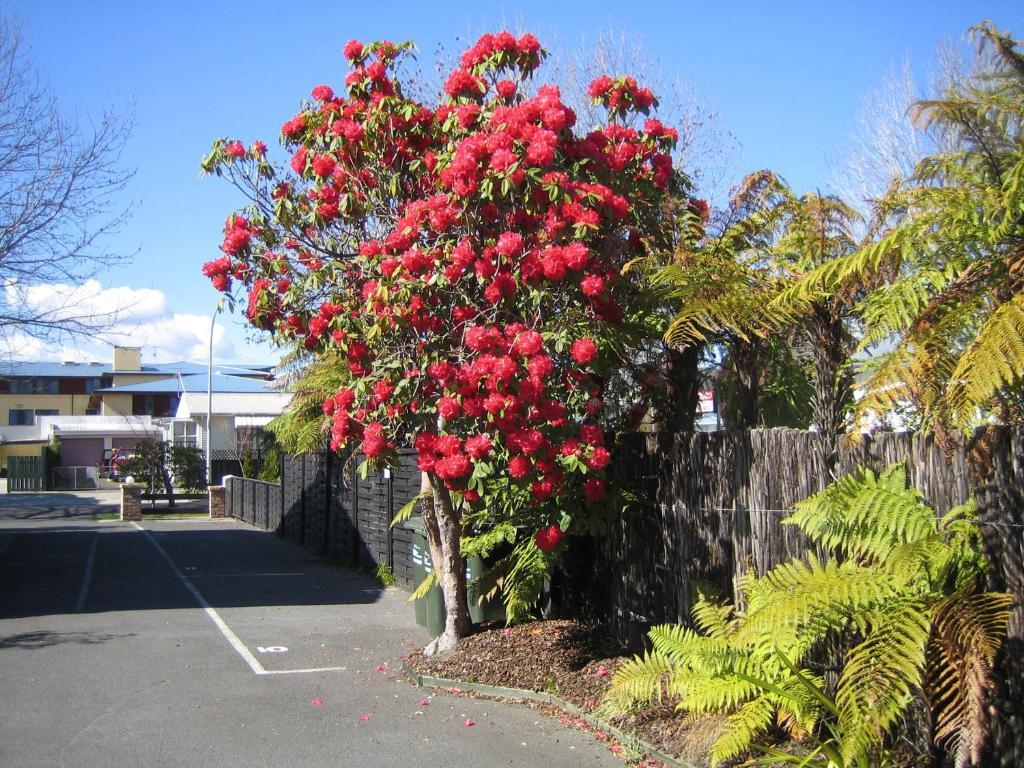 Victoria Lodge Rotorua Buitenkant foto